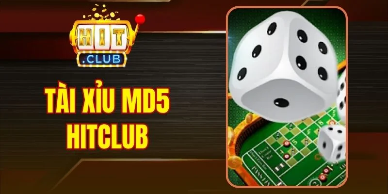 Tài Xỉu MD5 Hitclub - Giải Mã Thuật Toán Và Chu Kỳ Kết Quả
